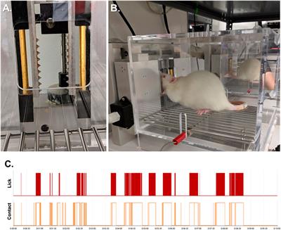 Pharmacological Characterization of Orofacial Nociception in Female Rats Following Nitroglycerin Administration